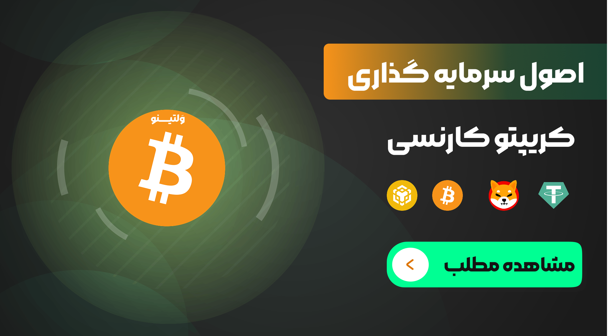 اصول سرمایه گذاری در کریپتو کارنسی